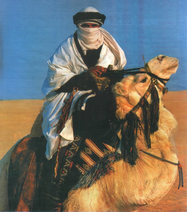 Тунис. По Сахаре на верблюдах