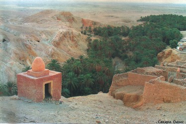 Оазис в пустыне Сахара. Тунис